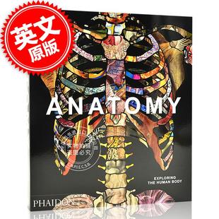 Exploring Body 解剖学：探索人体 Anatomy 艺术画册 中图 现货 医学历史 the 英文原版 社 费顿出版 Human 精装 phaidon