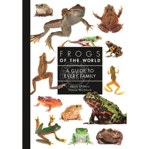 【满299送PUP新年台历】 Frogs of the World世界各地的青蛙：每个家庭的指南 普林斯顿