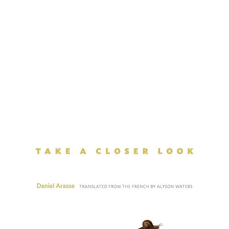 仔细看看 英文原版 艺术画册 Take a Closer Look