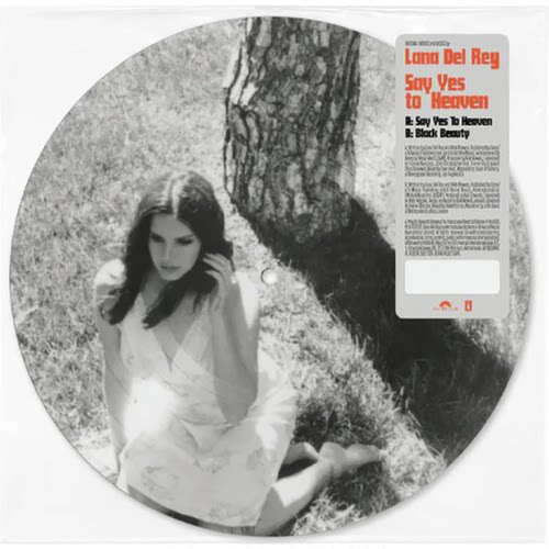 拉娜德雷 Lana Del Rey Say Yes to Heaven 7寸画胶 1LP