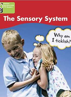 现货 PYP L4 Sensory System 6PK