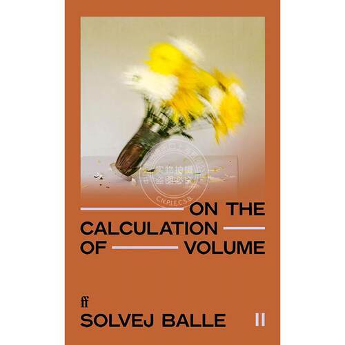 现货 空间时间之迷2 索尔薇・巴勒 Solvej Balle 布克国际奖长名单作品 英文原版 On the Calculation of Volume II