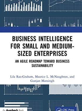 预售 按需印刷 Business Intelligence for Small and Medium Sized Enterprises