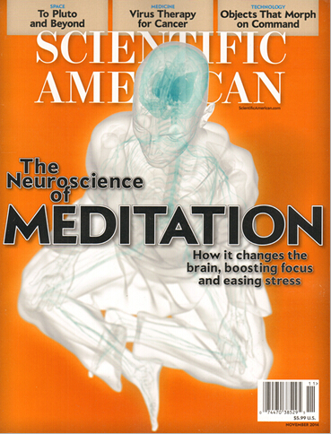 【全年订阅】英文原版杂志 科学美国人 Scientific American