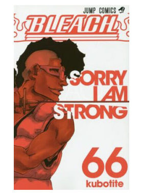 现货 BLEACH 66 死神 进口日文漫画