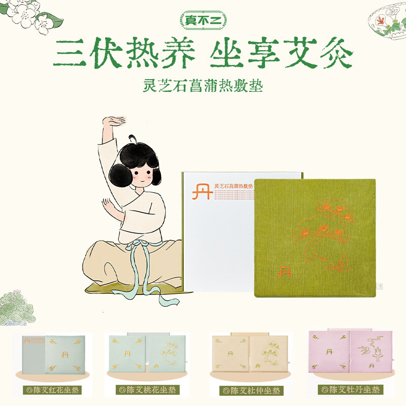 真不二艾灸坐垫可加热家用养生