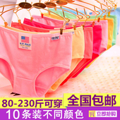 内裤 女纯棉中腰加大码 三角短裤 10条装 蕾丝花边莫代尔女士内裤 胖mm
