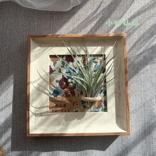 小凤仙儿空气凤梨套餐懒人现代画框桌面墙上白木色相框5寸新背景