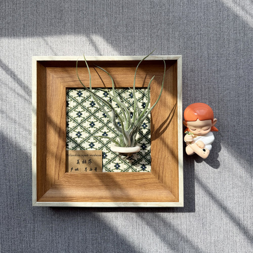 小凤仙儿空气凤梨套餐懒人现代画框桌面墙上白边相框5寸新背景