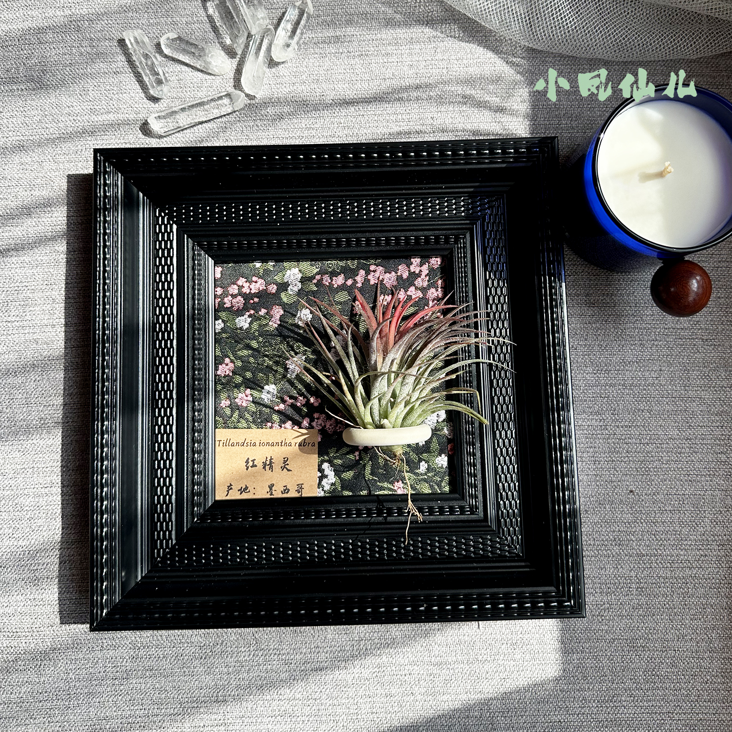 ins空气凤梨套餐现代装饰画框墙上高级复古黑色相框摆台方5寸送礼