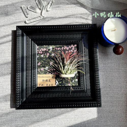 ins空气凤梨套餐现代装饰画框墙上高级复古黑色相框摆台方5寸送礼