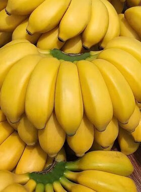 广西正宗精品小米蕉9斤 新鲜水果包邮非芭蕉牛角蕉巴蕉网红小香蕉