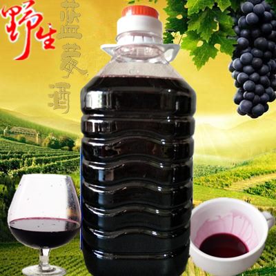 欣晨露蓝莓酒 赠小酒 农家自酿女士低度水果甜红酒5斤无添加 包邮