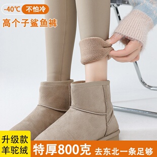鲨鱼裤女外穿高个子加长冬季加绒加厚800g保暖打底裤可外穿羊驼绒