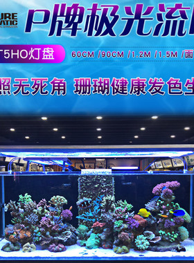 P牌极光流明T5HO灯架T5灯盘防水海水珊瑚鱼缸灯具水族箱造景装饰