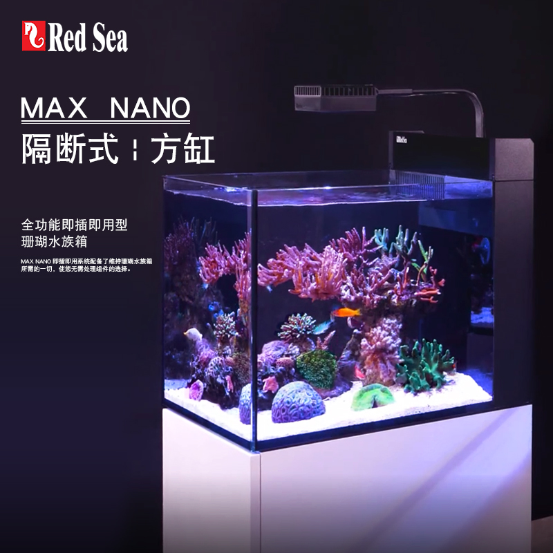 以色列红海redsea海水鱼缸珊瑚缸