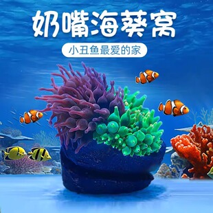 幽影奶嘴海葵窝造景摆件鱼缸造景海缸造景奶嘴固定防跑躲避罐