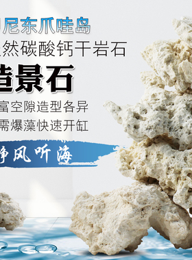 纯净死石 印尼爪哇岛干岩石 海缸造景石替代活石免暴藻送老水引菌