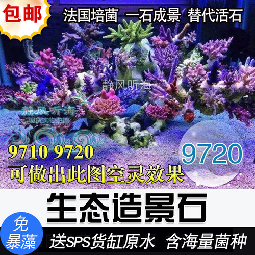 P牌法国培菌生态造景石9710 9720免暴藻送sps货缸原水含海量菌种 - 封面