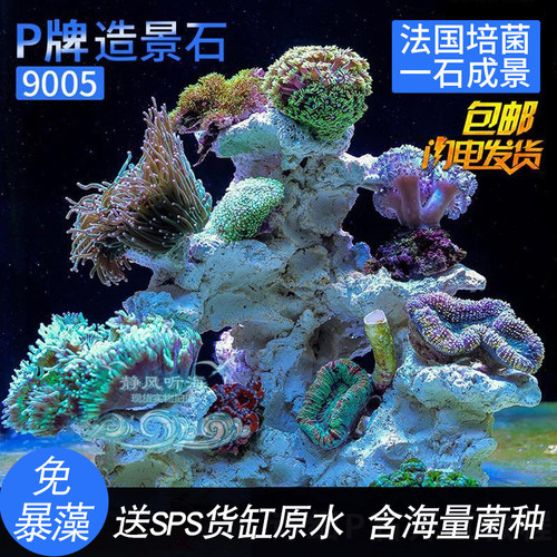 P牌培菌造景石免暴藻含海量菌种