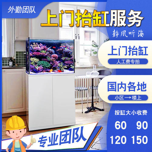 全国各地抬缸搬缸鱼缸服务