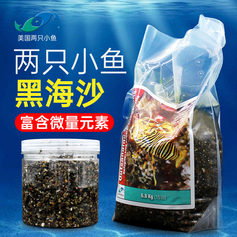 两只小鱼海泥海沙黑海沙