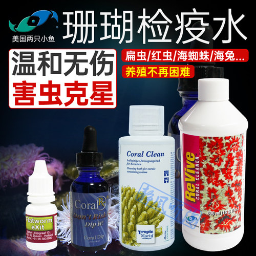 美国两只小鱼杀虫水珊瑚鱼缸检疫
