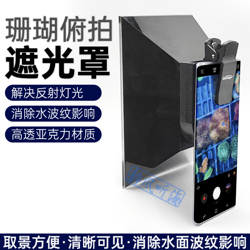 静风听海珊瑚海缸拍照