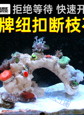 P牌 成品造景石 培菌石海缸珊瑚缸 免爆藻纽扣断枝座纽扣珊瑚底座