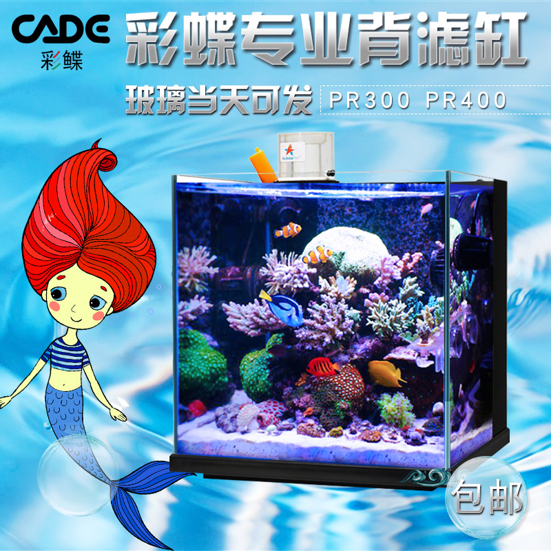 彩鲽背滤海水缸海缸珊瑚缸彩蝶