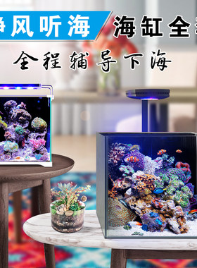背滤海缸新手套餐大全 迷你小型海水缸 珊瑚缸 小丑鱼缸 入门海缸