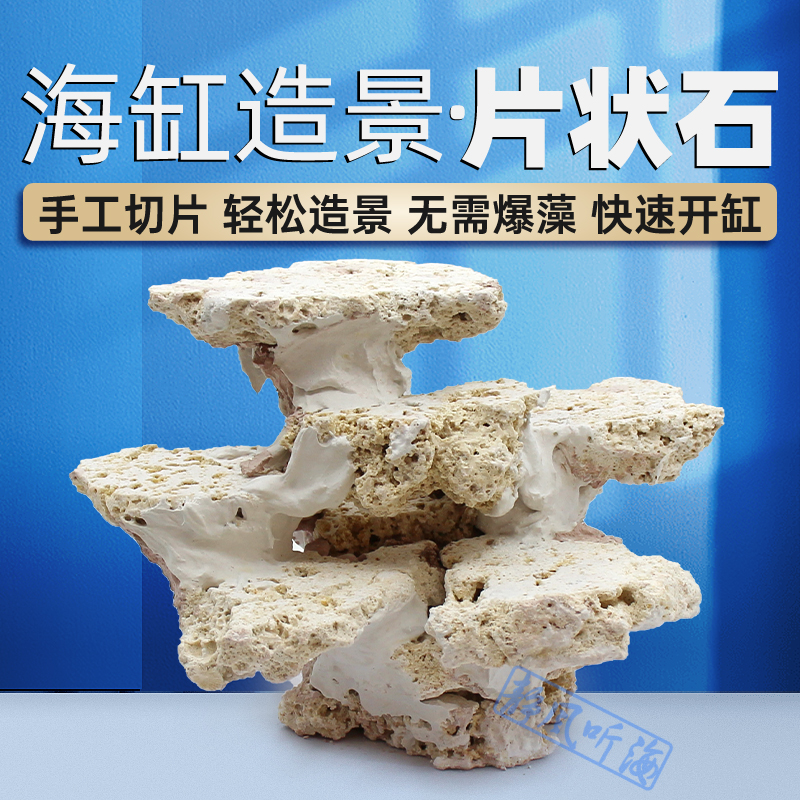 片状死石海缸造景免暴藻