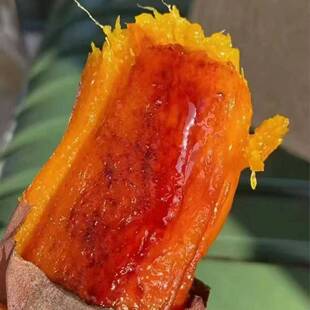 新疆沙土地红薯蜜薯 粗粮杂粮 轻食代餐 早餐