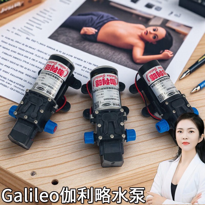 12v微小型家用24v直流清洗车载电动超高压水柱塞泵压力喷雾隔膜泵