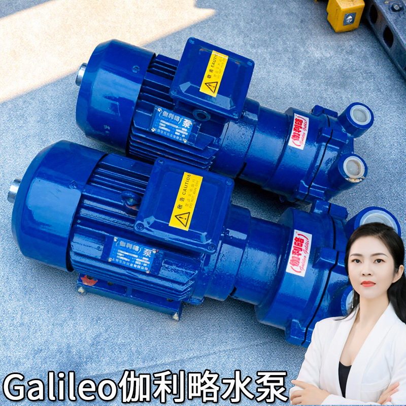 2bv系列德国进口液环用小型电动负压水环式泵抽片式真空气泵