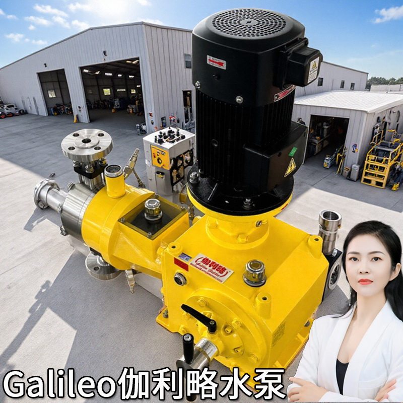 jlmzkdf2jxm进口电磁双头机械柱塞kcl635隔膜式加药计量泵ah泵