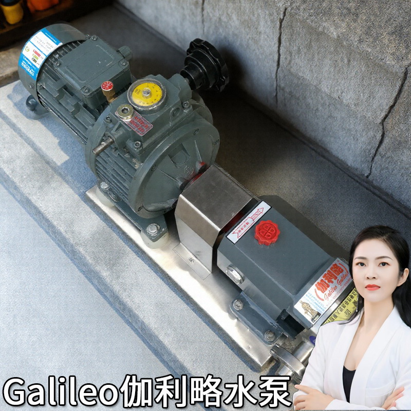 保温不锈钢转子泵柴油机转子泵汽车转子泵滚珠式转子泵24凸轮泵