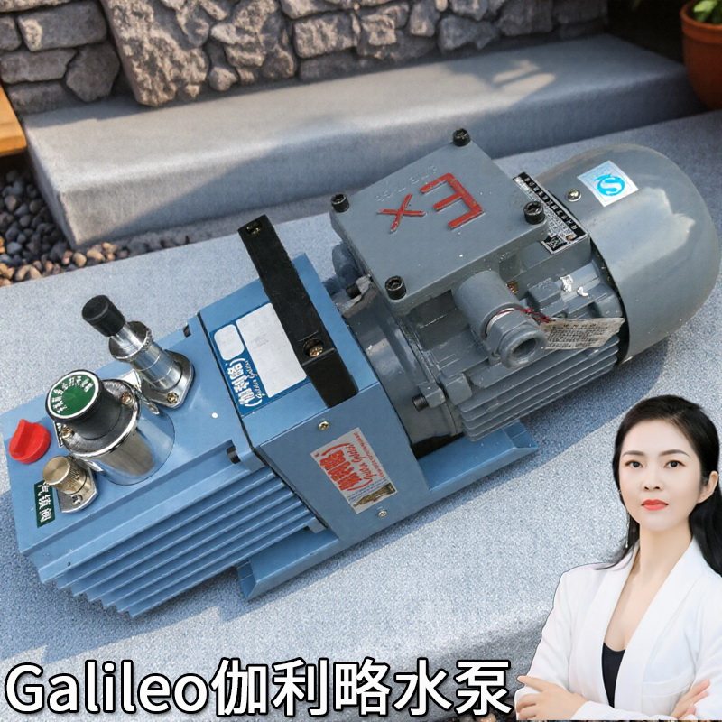 上海进口防爆系列高分子负压用抽2xz双级小微型真空气泵