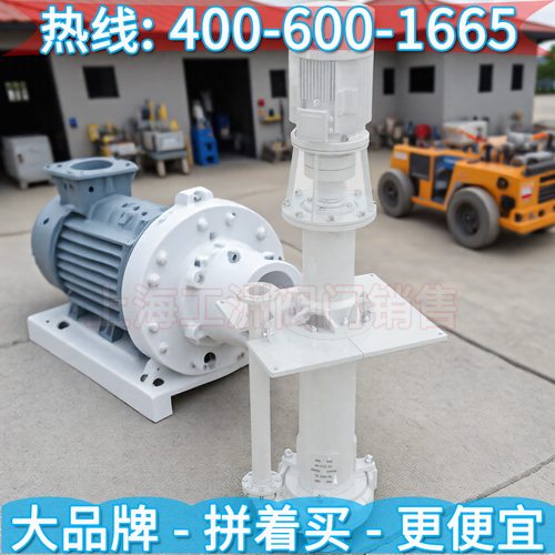 上海东方水泵DFSP系列液下式渣浆泵 上海东方泵业制造公司