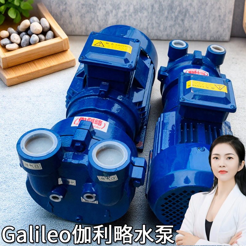 2bv2061水环真空泵福建真空泵真空箱真空泵0302真空泵深圳水环泵