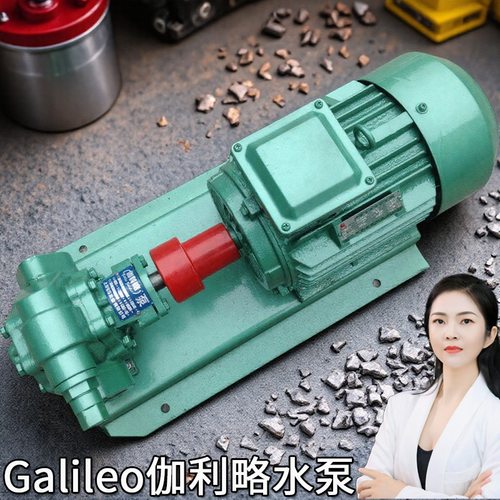 kcb2cy机床用大型进口双联内啮合和式齿轮输油液压泵电动不锈钢泵