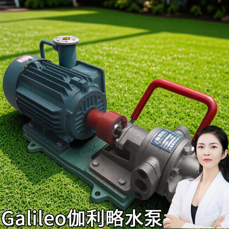 2cy型和进口双联内机床用啮合kcb式齿轮输油液压泵电动不锈钢泵