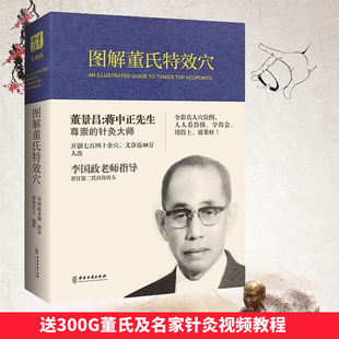 图解董氏特效穴 针灸经络穴位入门 正版 董景昌李国政王秀琴董氏奇穴针灸集 穴位诠解 本 包邮 全彩精装