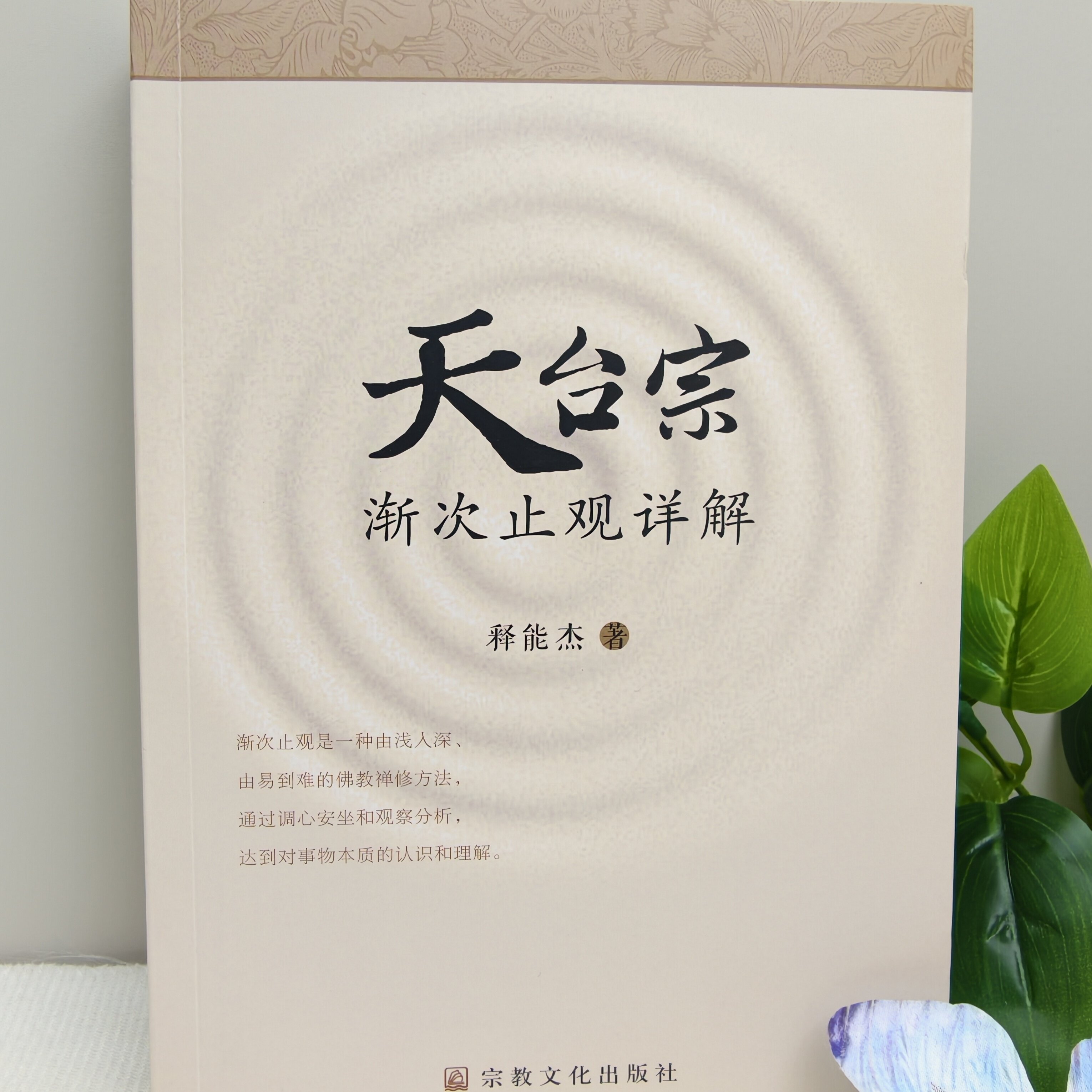 天台宗渐次止观详解 释能杰著 宗教文化出版社n