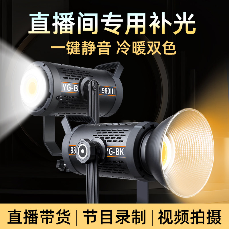 300W专业直播补光灯主播专用摄影灯直播间氛围柔光灯LED摄影棚灯光设备套装摄影拍照服装人像拍摄打光球形灯