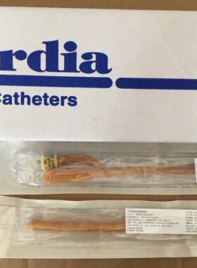 进口导尿管双腔三腔巴德