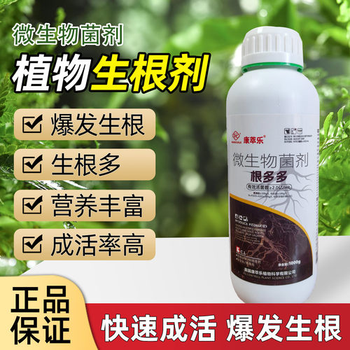 生根剂爆根原液生根壮苗剂生根液氨基酸猛生根水溶肥料冲施根多多