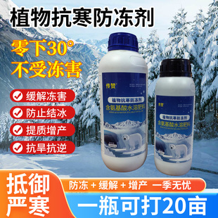 植物抗寒液防冻剂含氨基酸水溶肥料蔬菜花卉缓解冻害防止结冰果树