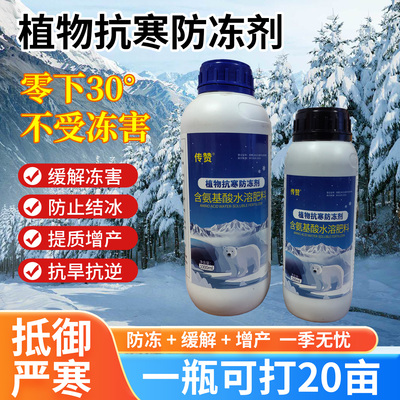 植物抗寒液防冻剂含氨基酸水溶肥料蔬菜花卉缓解冻害防止结冰果树