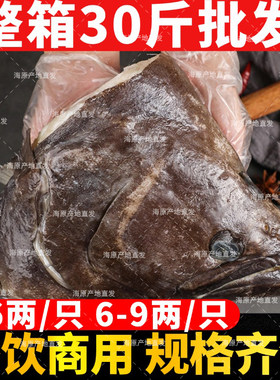 碟鱼头鲜活冷冻深海鲽鱼尾特大比目鱼头鸦片鱼头商用海鲜水产批发